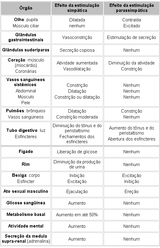 Exercicios sobre anatomia e fisiologia humana